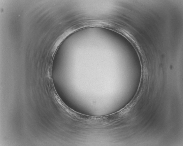 X0000053011481200507291655