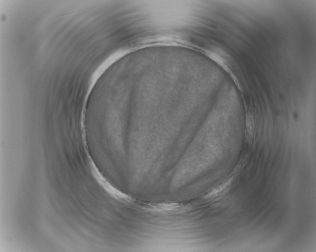 X0000053011482200507291655