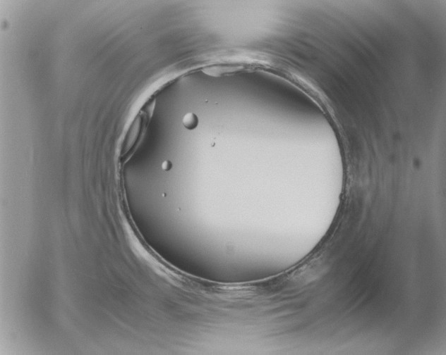 X0000053011483200507291655