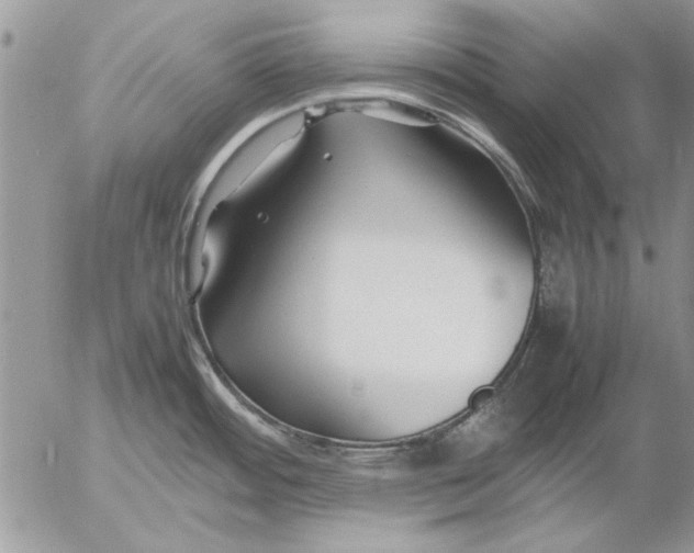 X0000053011484200507291655