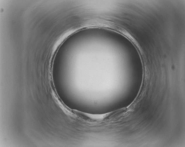 X0000053011485200507291655