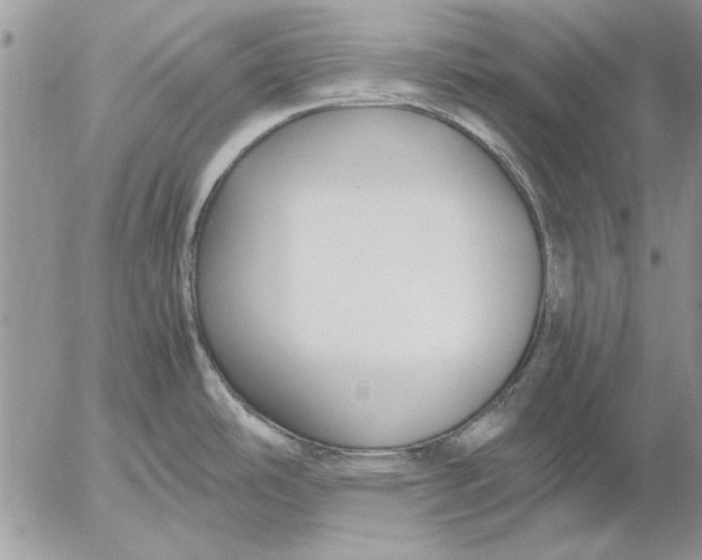 X0000053011486200507291655