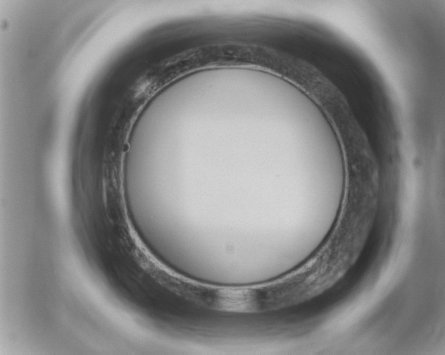 X0000053011487200507291655