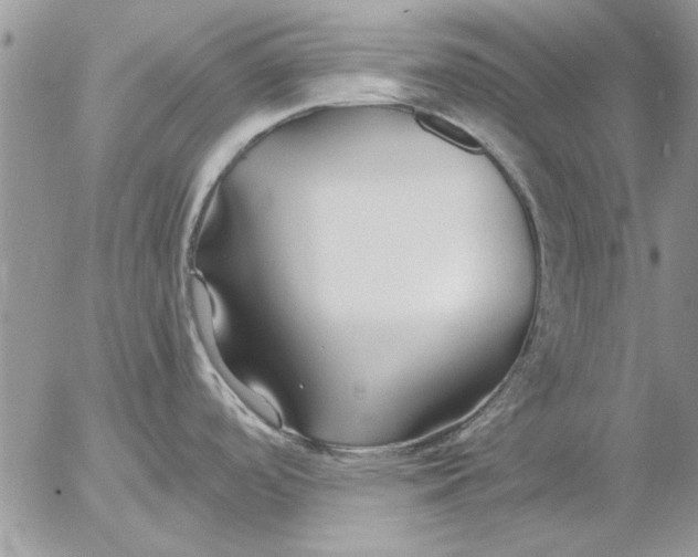 X0000053011488200507291655