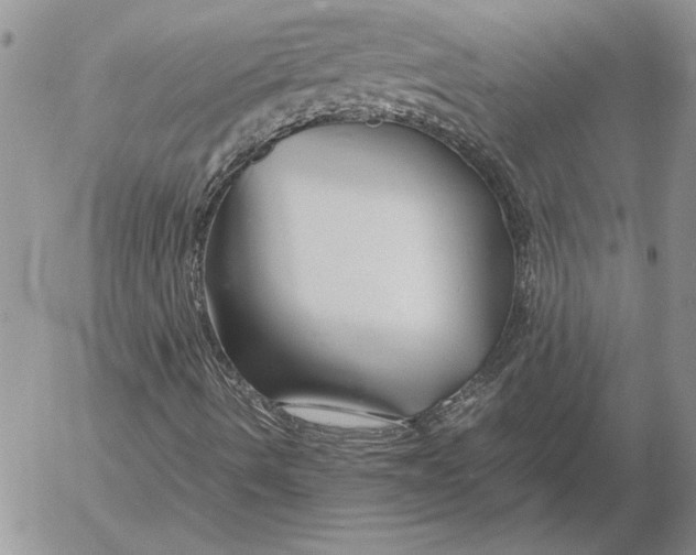 X0000053011490200507291654