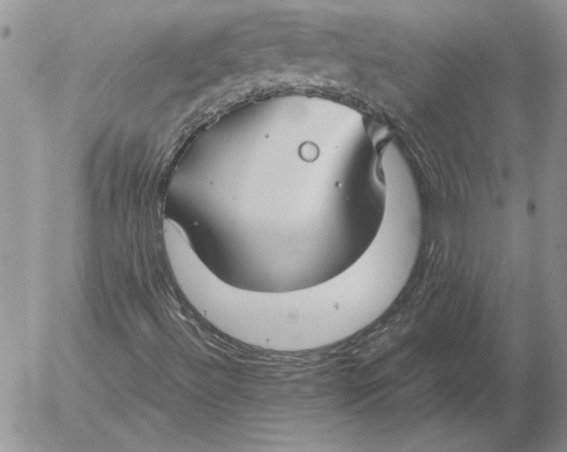 X0000053011492200507291654