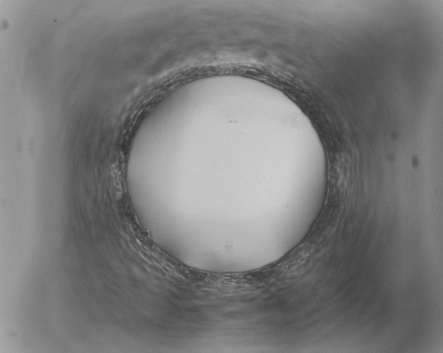 X0000053011493200507291654