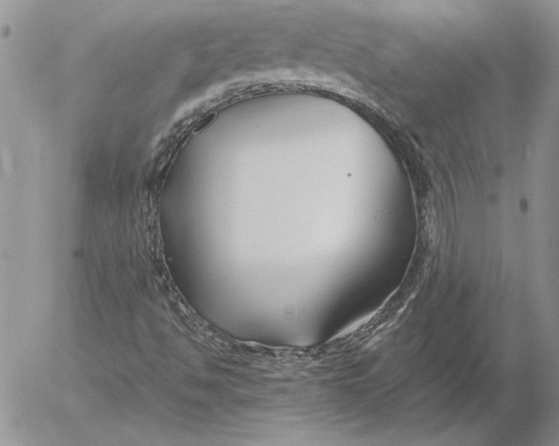 X0000053011494200507291654