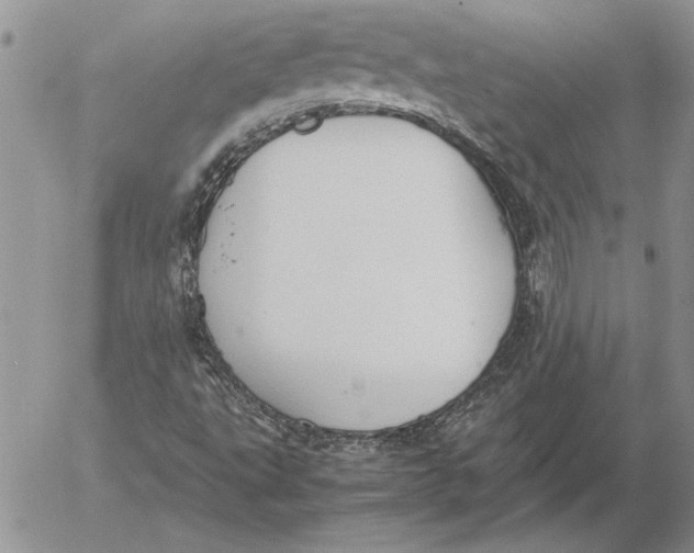 X0000053011495200507291654