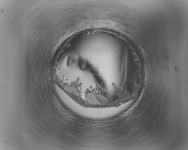 X0000053011497200507291654