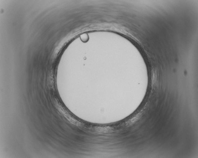 X0000053011498200507291654