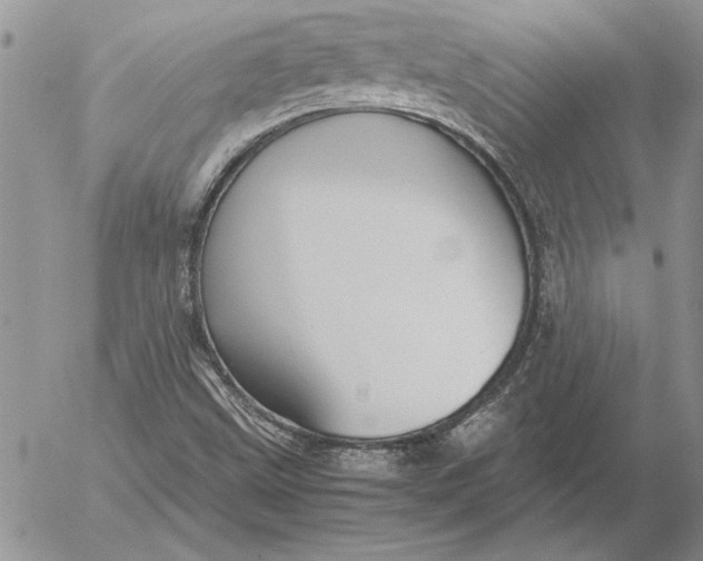 X0000053011499200507291654