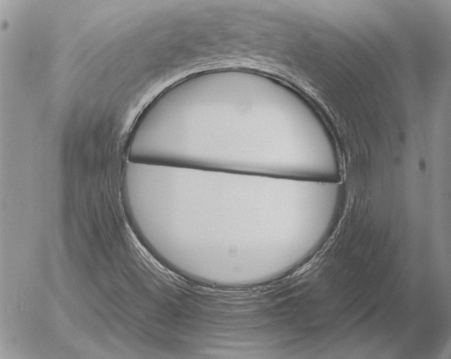 X0000053011500200507291654