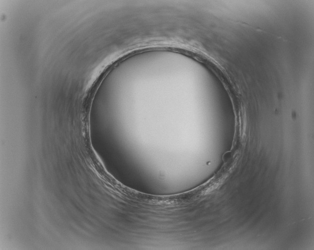 X0000053011501200507291654