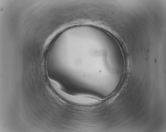 X0000053011502200507291654