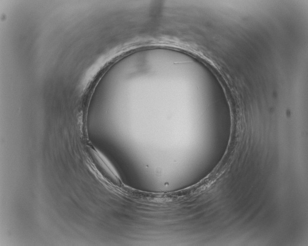 X0000053011503200507291654