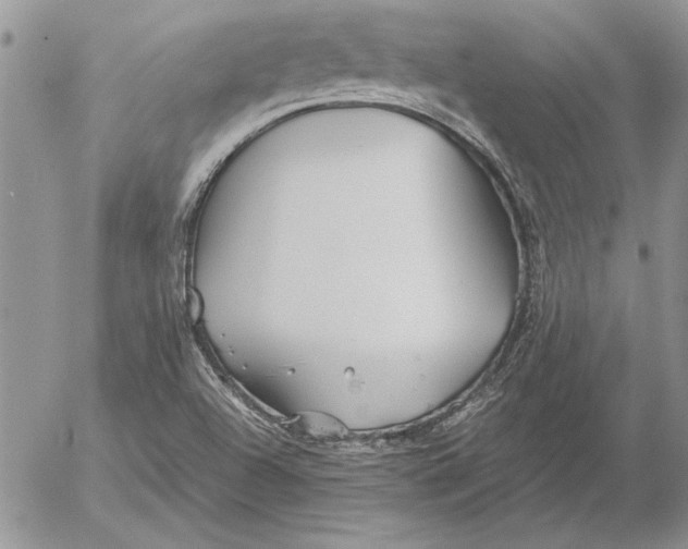 X0000053011504200507291654