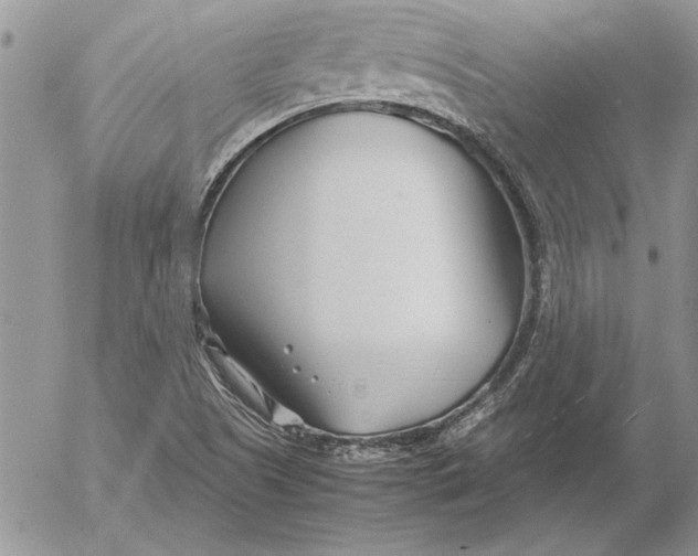 X0000053011505200507291654