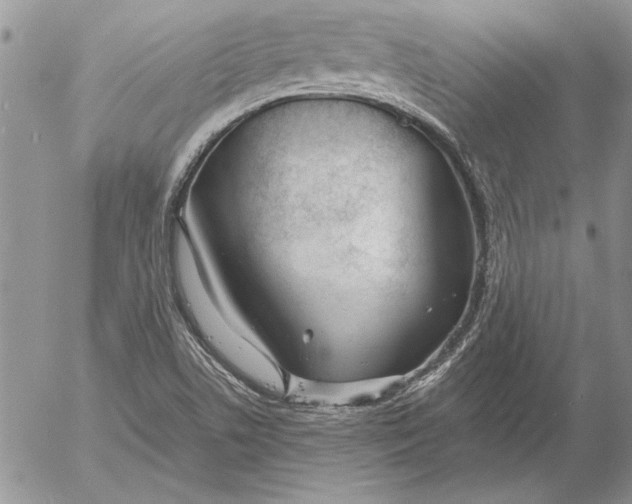 X0000053011506200507291654