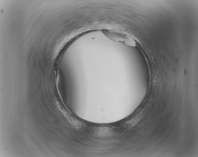 X0000053011507200507291654