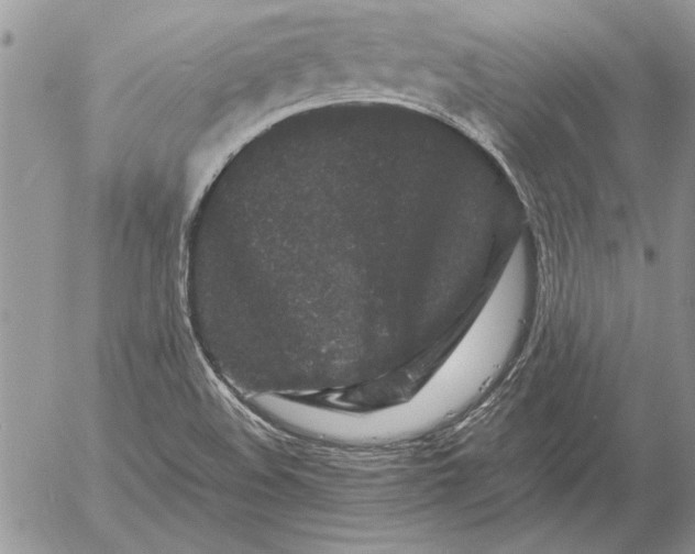 X0000053011508200507291654