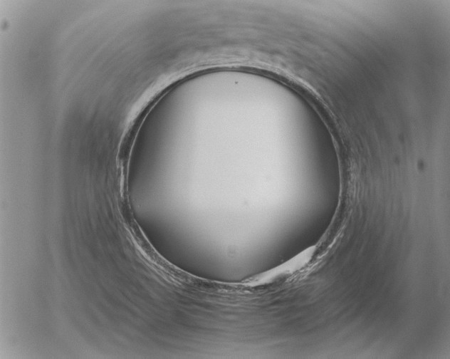 X0000053011509200507291654