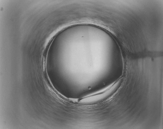 X0000053011510200507291654