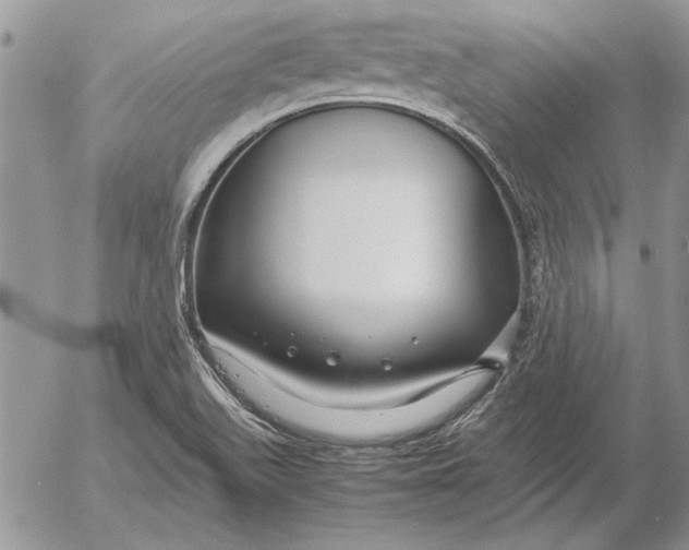 X0000053011511200507291655