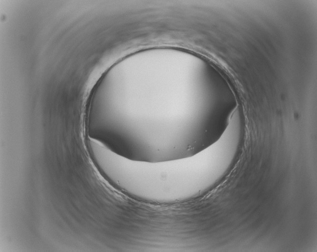 X0000053011512200507291655