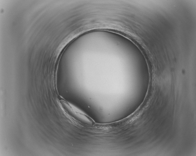 X0000053011513200507291655