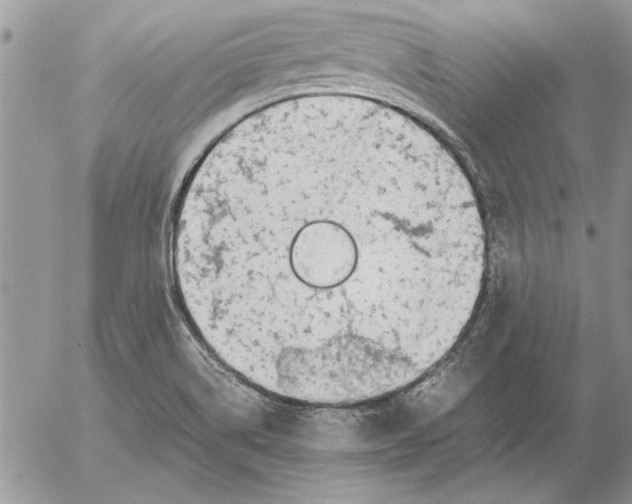 X0000053011514200507291655