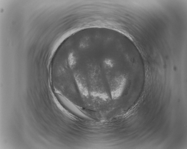 X0000053011515200507291655