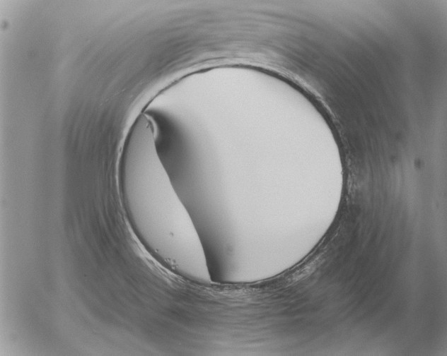 X0000053011516200507291655