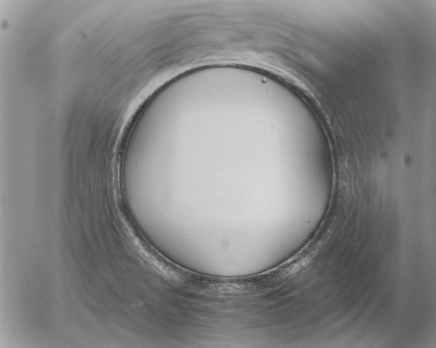 X0000053011517200507291655