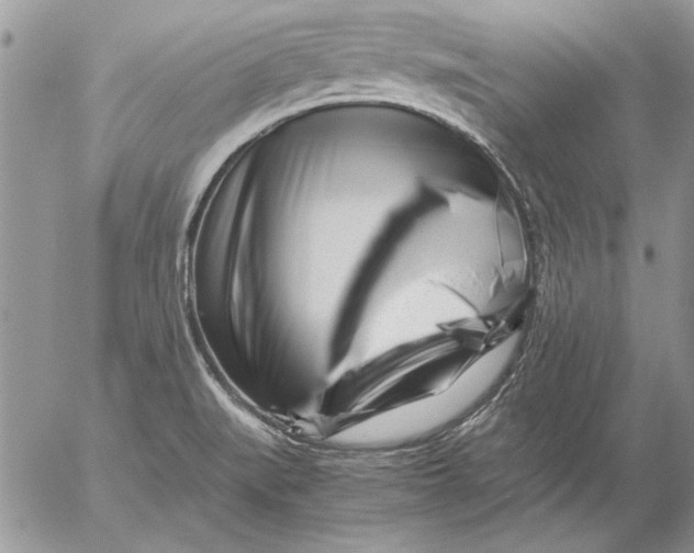 X0000053011519200507291655