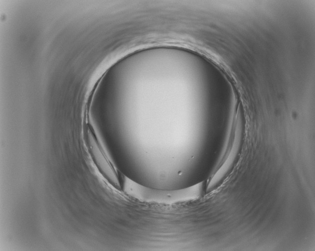 X0000053011520200507291655