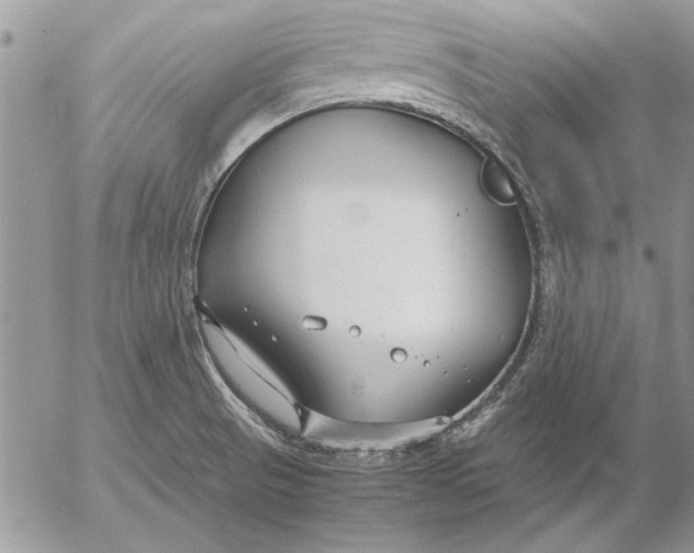 X0000053011521200507291655