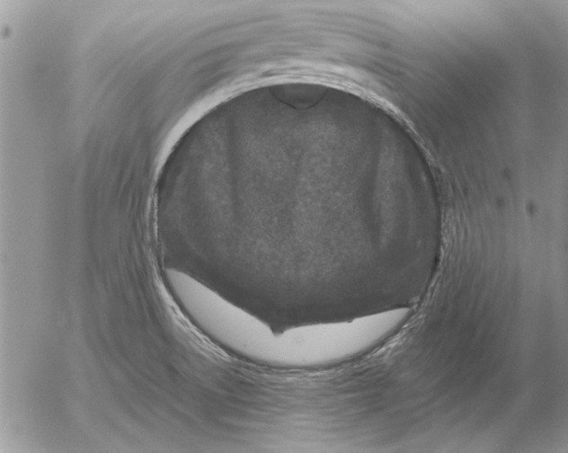 X0000053011522200507291655