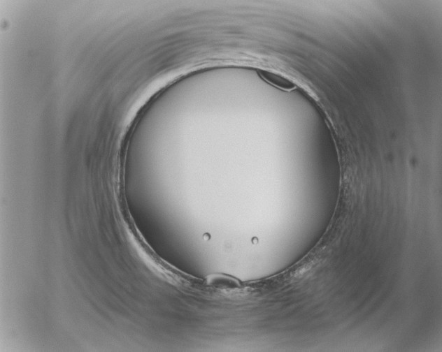 X0000053011523200507291655