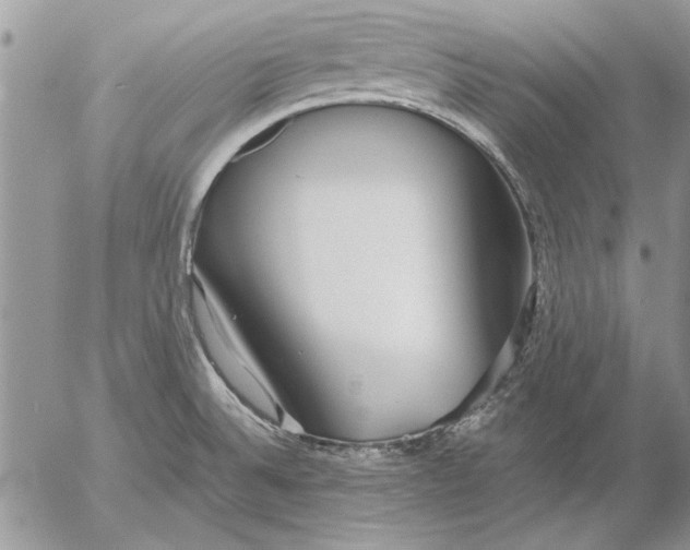 X0000053011524200507291655