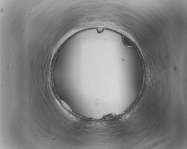 X0000053011525200507291655