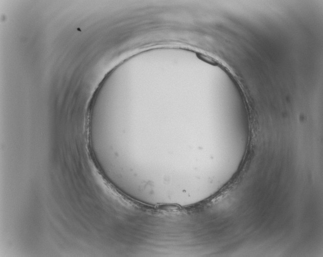 X0000053011526200507291655