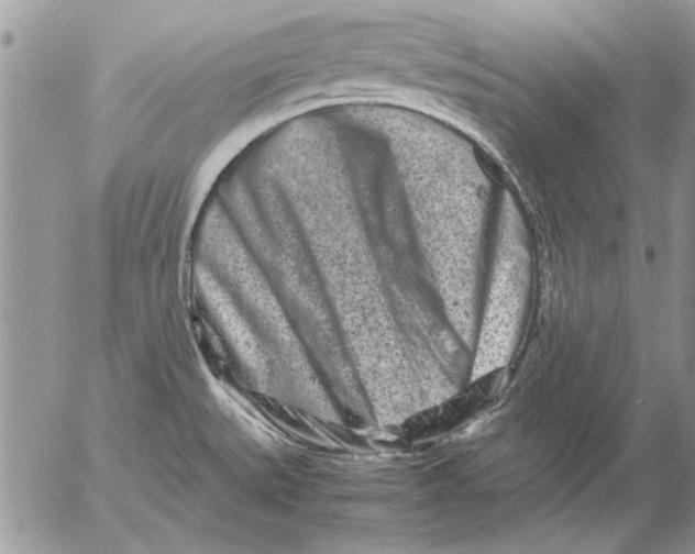 X0000053011527200507291655