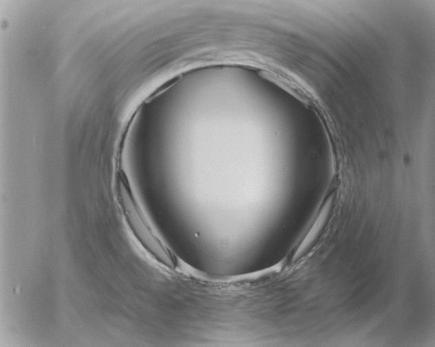 X0000053011528200507291655