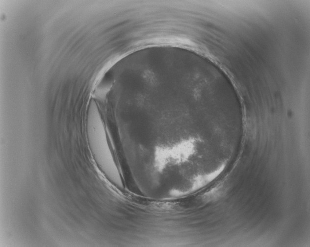 X0000053011529200507291655