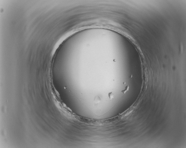 X0000053011530200507291655