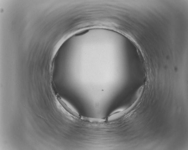 X0000053011532200507291655