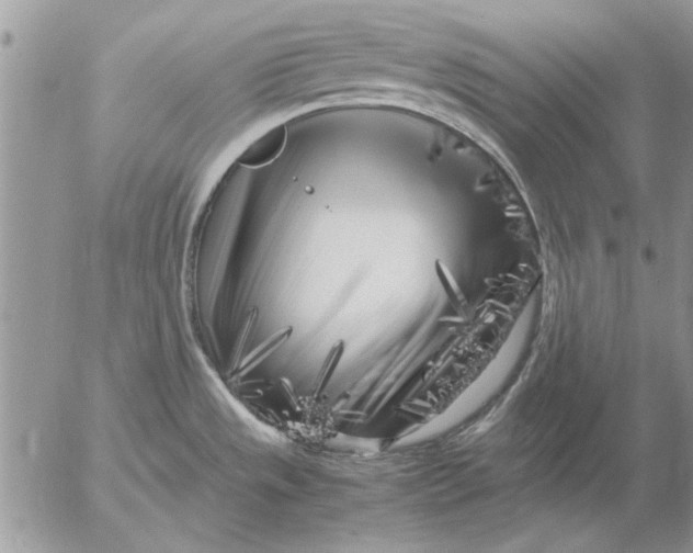 X0000053011533200507291655