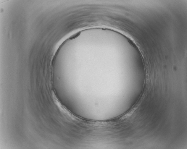 X0000053011534200507291655