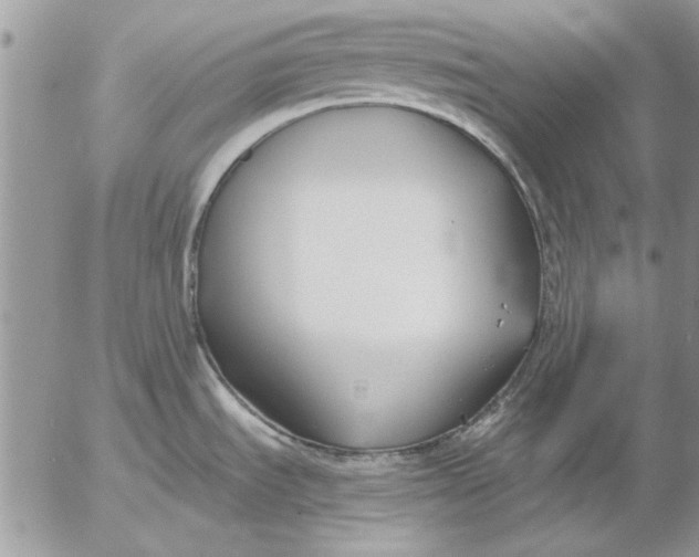 X0000053011535200507291655